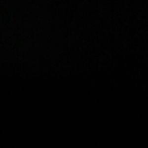 Meet your Posher, Jasper